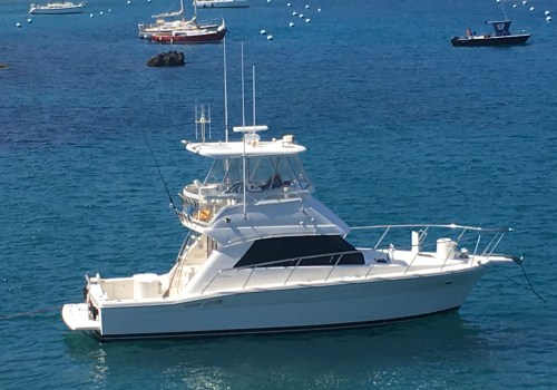 A Complete Guide to Deep Sea Fishing Charters at Crown Pointe Marina